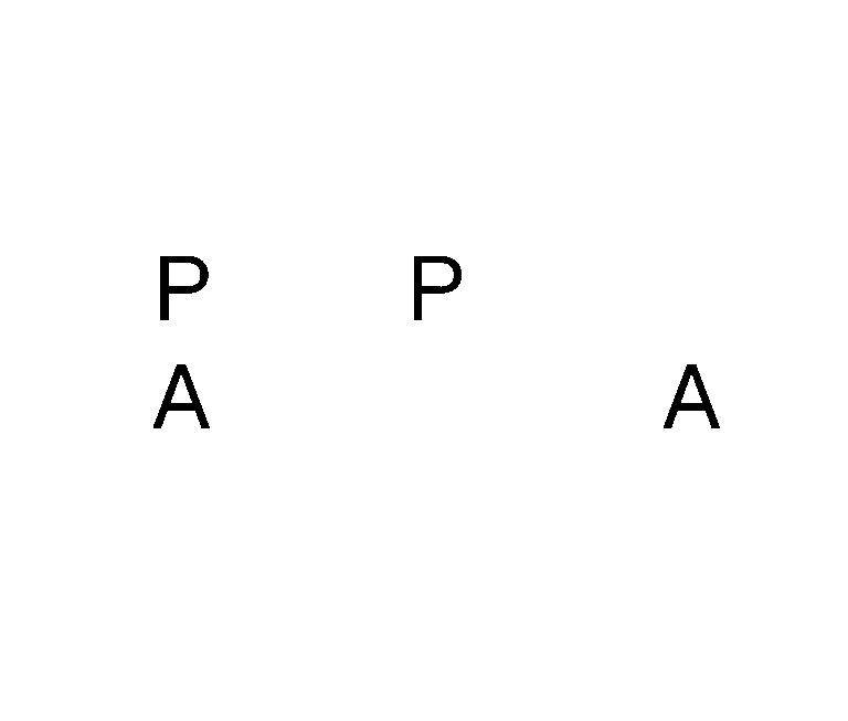 PPAA-Digital-icono (1)